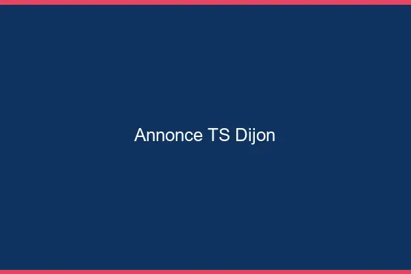 Annonce TS Dijon