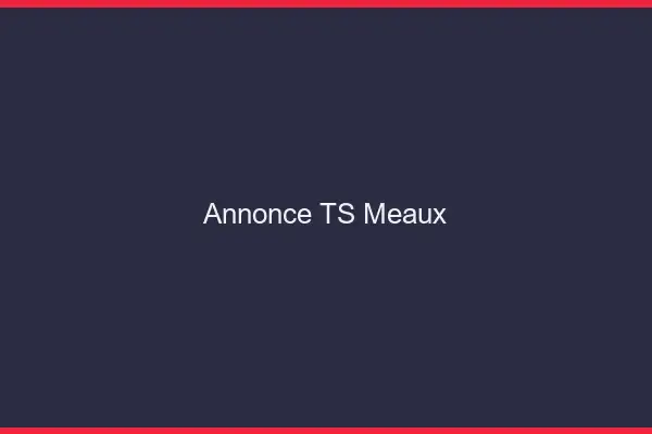 Annonce TS Meaux