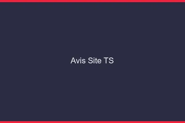 Avis site TS