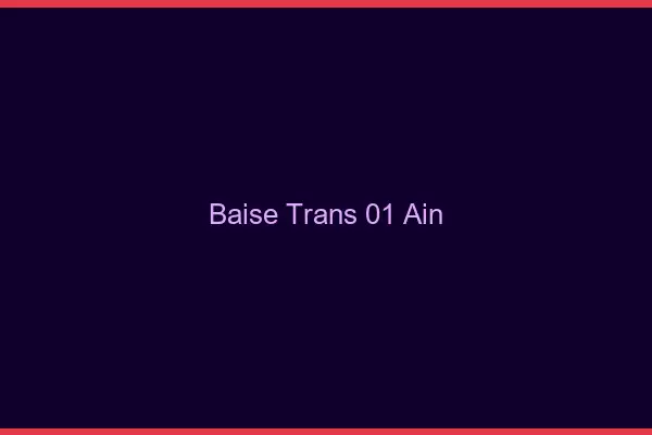 Baise trans 01 ain