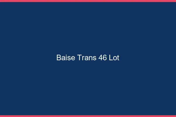 Baise trans 46 lot