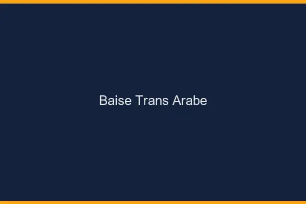 Baise trans arabe