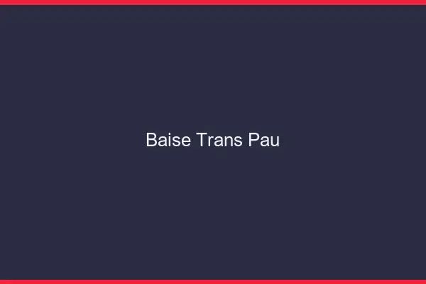 Baise trans Pau