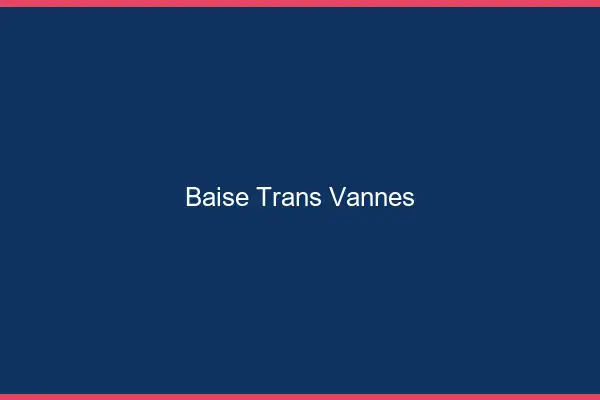 Baise trans Vannes