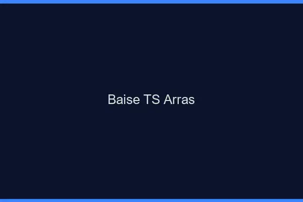 Baise TS Arras