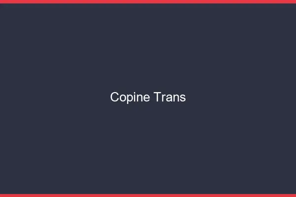 Copine trans