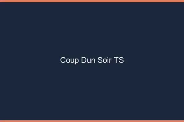 Coup d'un soir TS