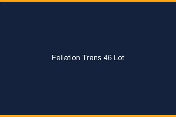 Fellation trans 46 lot