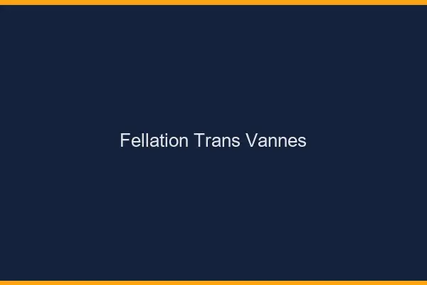 Fellation trans Vannes