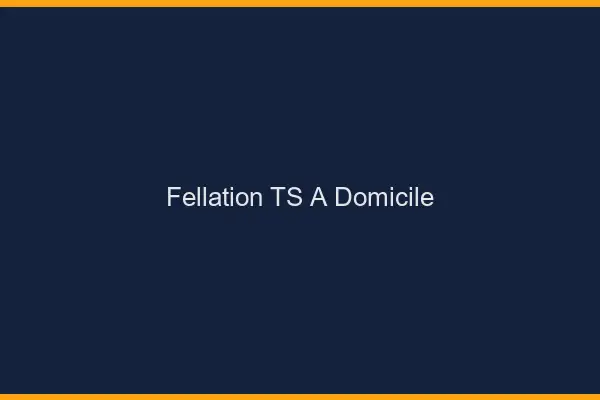 Fellation TS à domicile