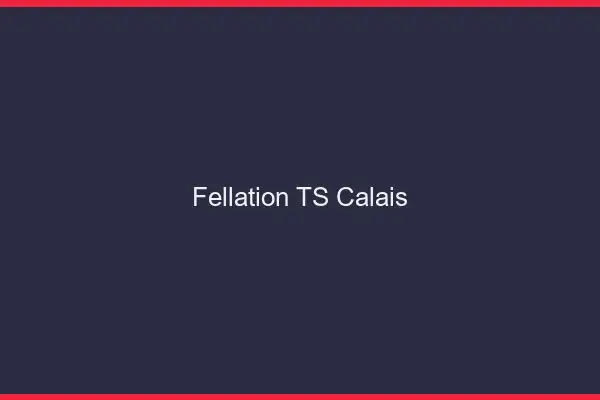Fellation TS Calais