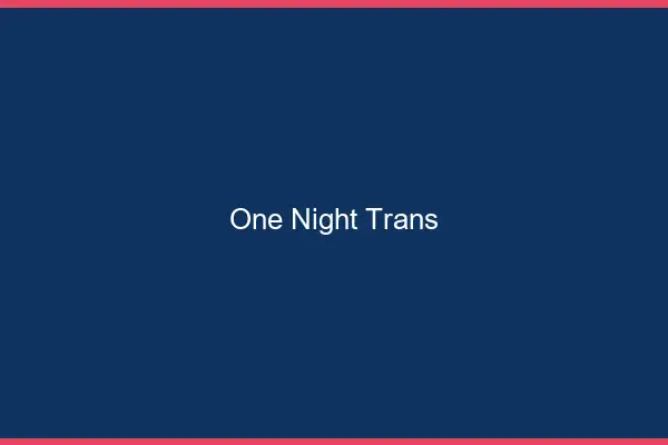 One night trans