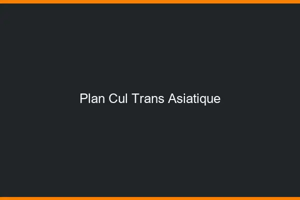 Plan cul trans asiatique