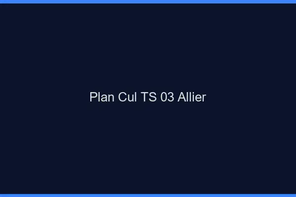 Plan cul TS 03 allier