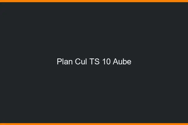 Plan cul TS 10 aube