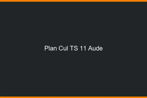 Plan cul TS 11 aude