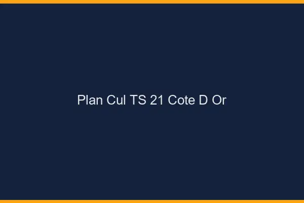 Plan cul TS 21 côte-d'or