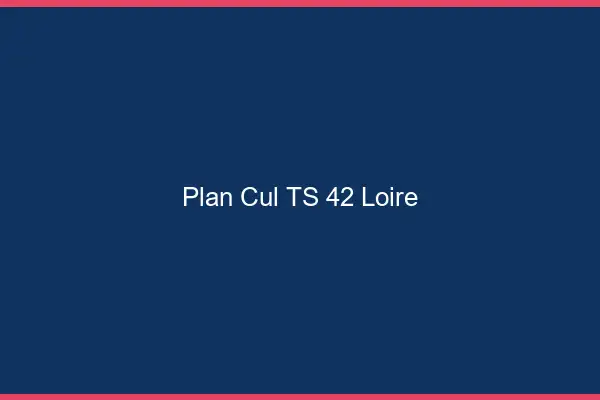 Plan cul TS 42 loire
