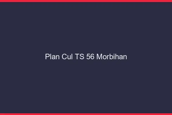 Plan cul TS 56 morbihan