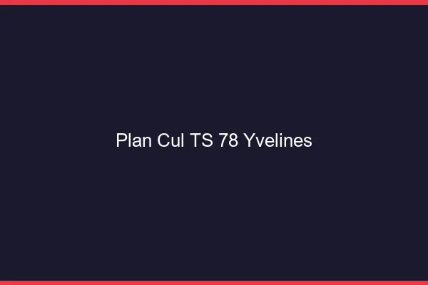 Plan cul TS 78 yvelines