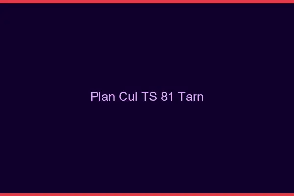 Plan cul TS 81 tarn
