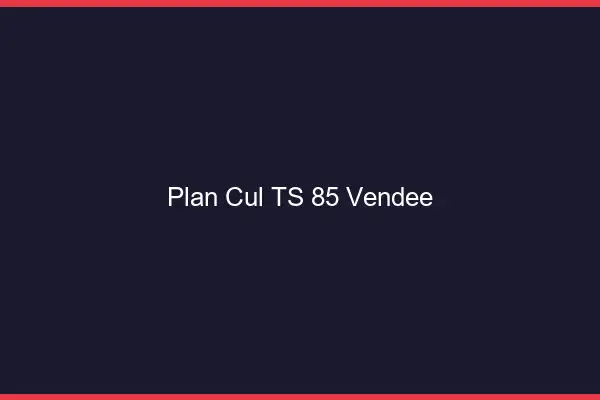 Plan cul TS 85 vendée