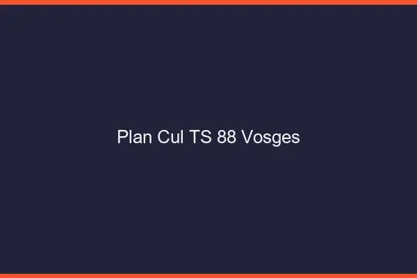 Plan cul TS 88 vosges
