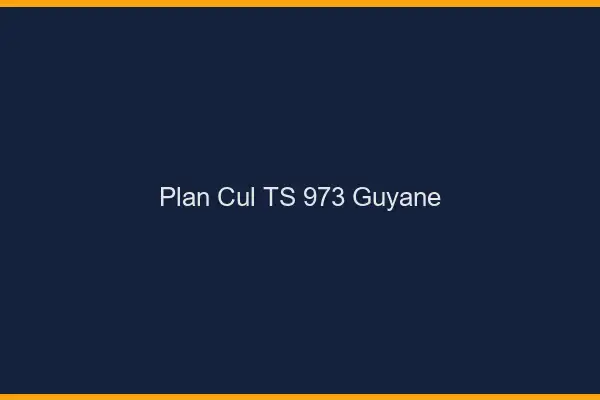 Plan cul TS 973 Guyane