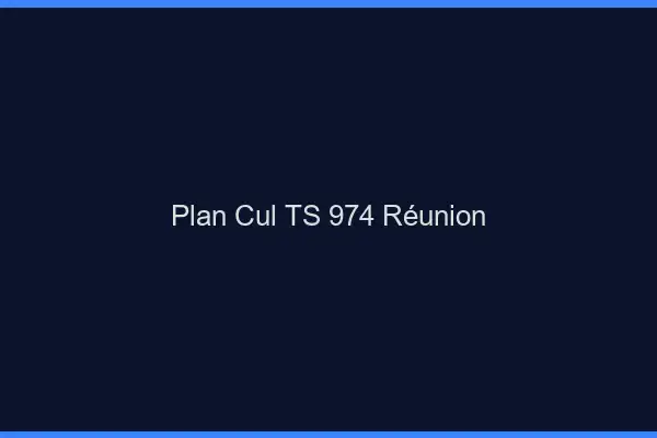 Plan cul TS 974 Réunion