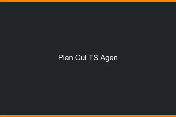 Plan cul TS Agen