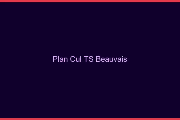 Plan cul TS Beauvais