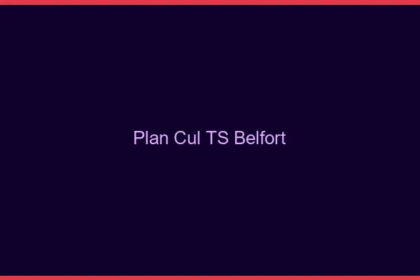 Plan cul TS Belfort
