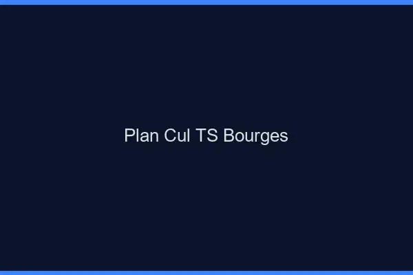 Plan cul TS Bourges