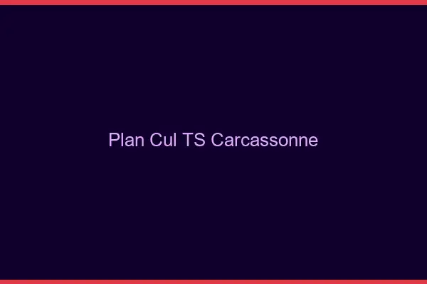 Plan cul TS Carcassonne