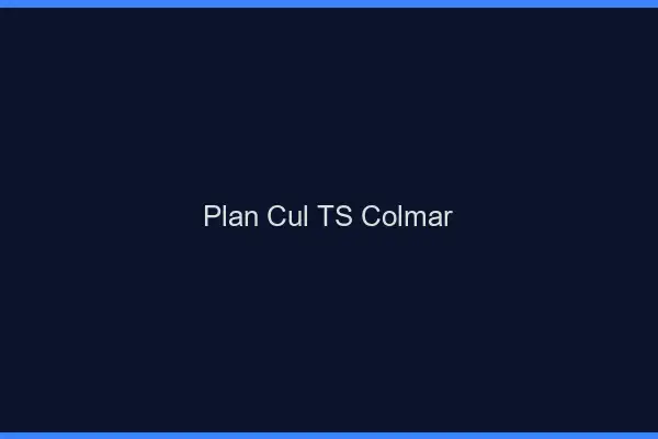 Plan cul TS Colmar
