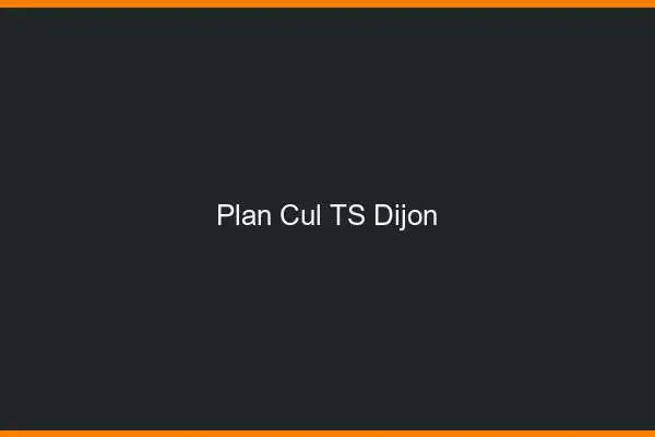 Plan cul TS Dijon