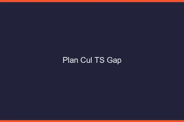 Plan cul TS Gap