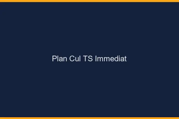Plan cul TS immédiat