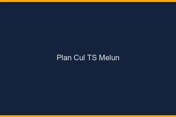 Plan cul TS Melun