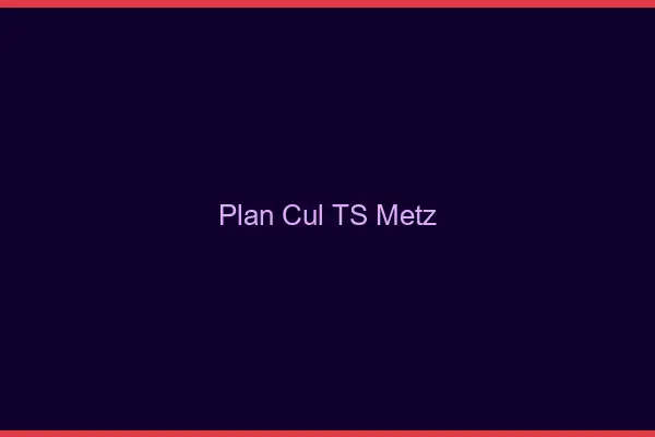 Plan cul TS Metz