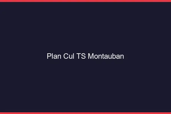 Plan cul TS Montauban