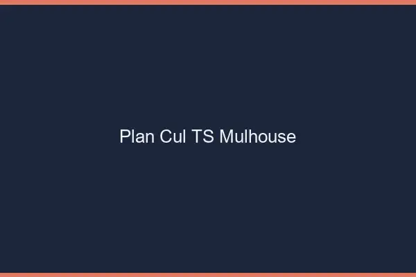 Plan cul TS Mulhouse