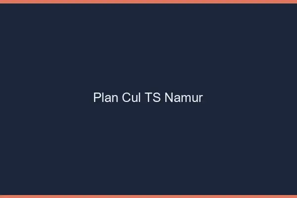 Plan cul TS Namur