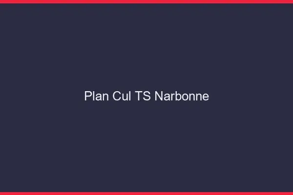Plan cul TS Narbonne