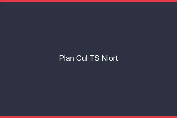 Plan cul TS Niort