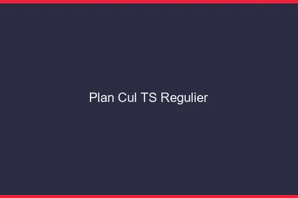 Plan cul TS régulier