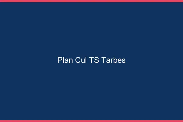 Plan cul TS Tarbes
