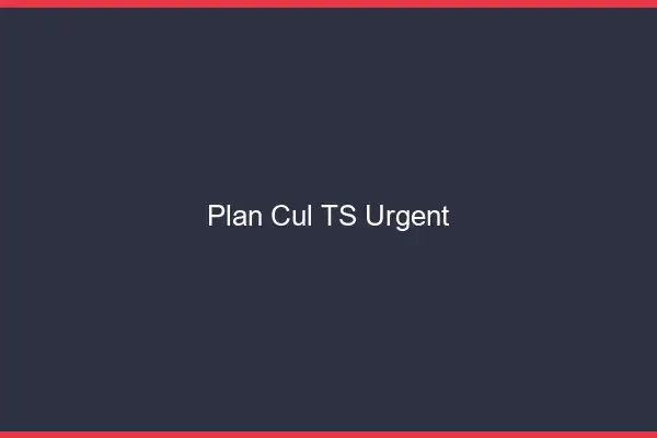 Plan cul TS urgent