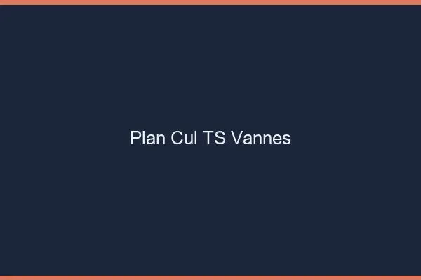 Plan cul TS Vannes