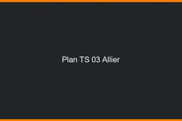 Plan TS 03 allier